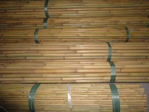 where to buy bamboo garden stakes